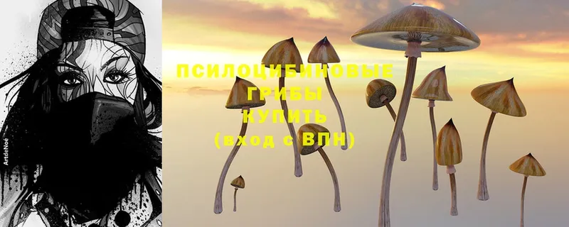 Псилоцибиновые грибы Magic Shrooms  MEGA ссылки  Анжеро-Судженск 